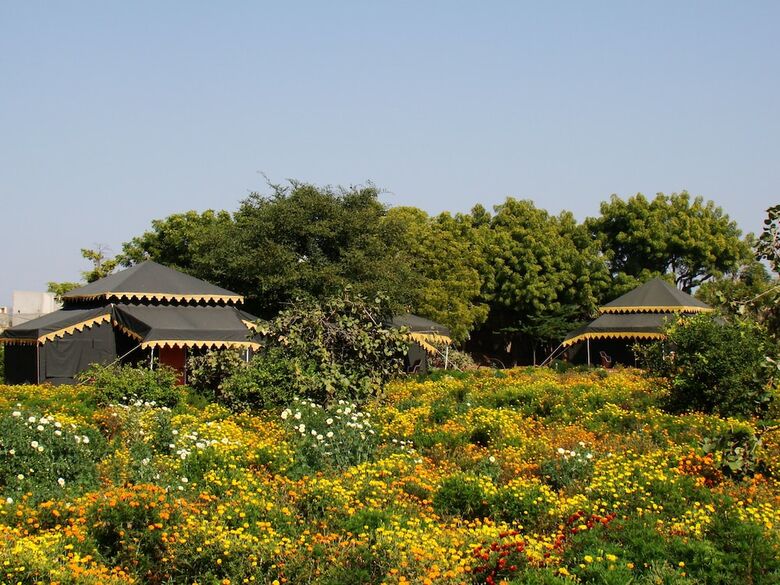 Orchard Tents & Tranquility