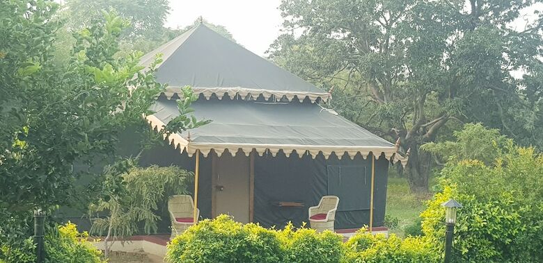 Orchard Tents & Tranquility