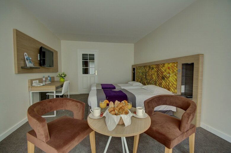 Hotel Najeti H�tel Du Parc