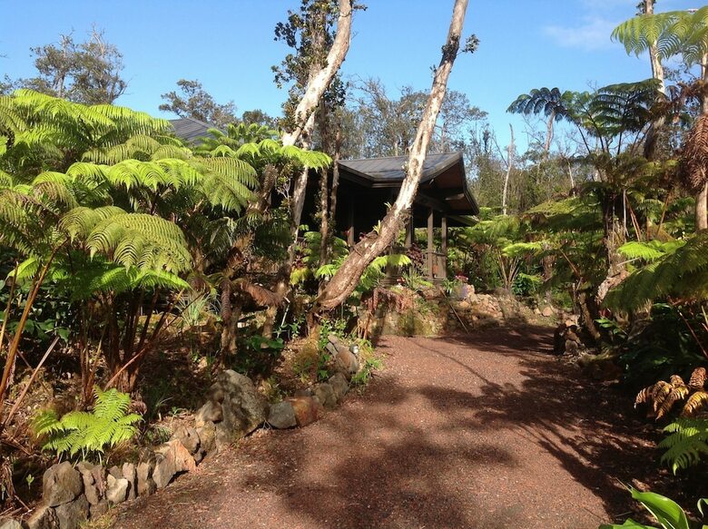 Volcano Rainforest Lodge