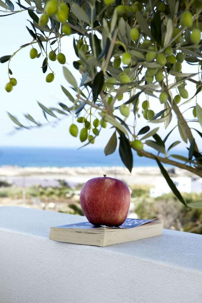 Hotel Mitos Suites