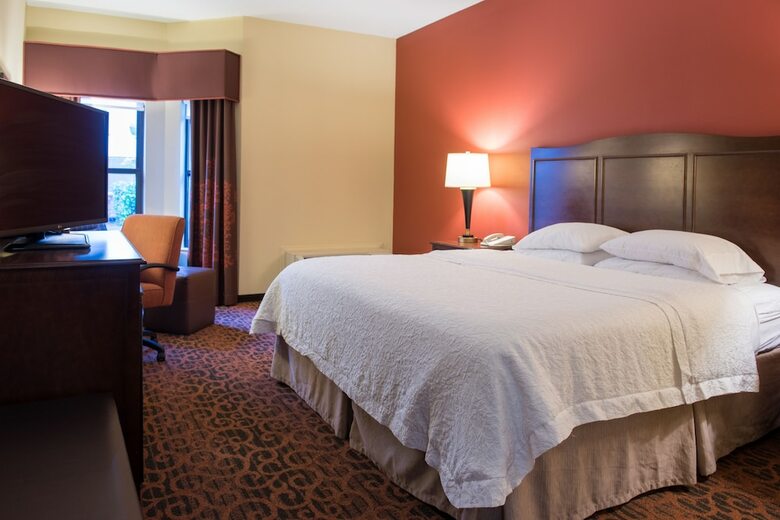 Hotel Hampton Inn & Suites Tampa North