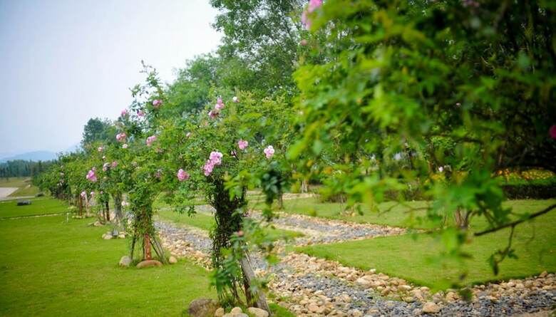 Hotel Flamingo Dai Lai Resort