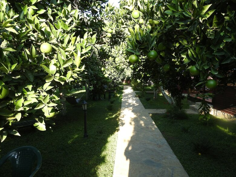 Pension Mercan Bungalow