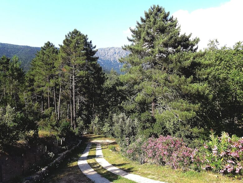 Hotel H�tel Des Deux Sorru