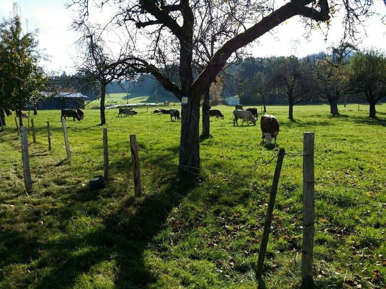 Landpension Sternberg