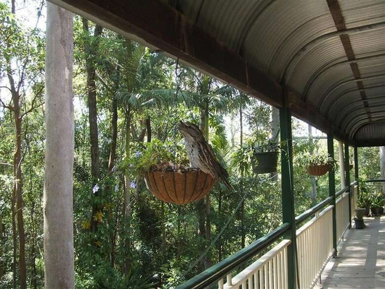Rumbalara Bed And Breakfast