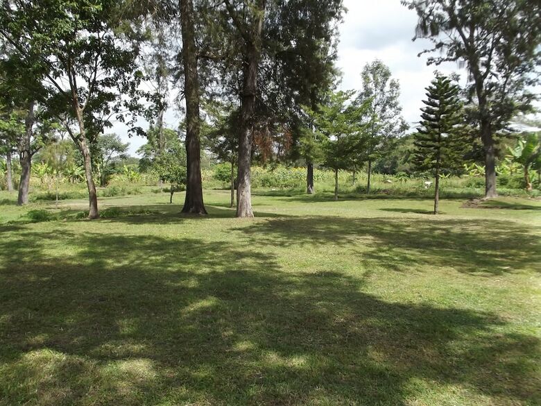 Bed & Breakfast Kaswende Farm