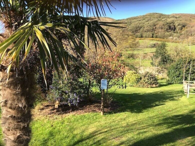 Bed & Breakfast Exmoor Owl & Hawk Centre