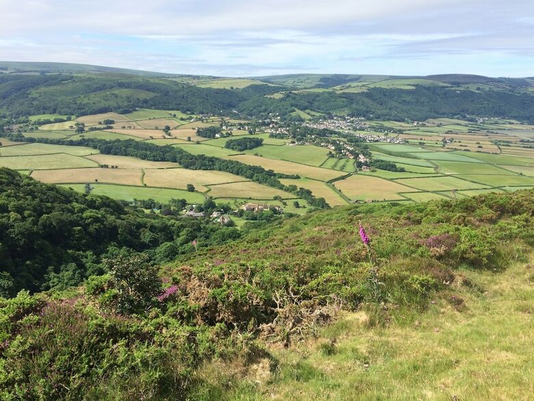 Bed & Breakfast Exmoor Owl & Hawk Centre