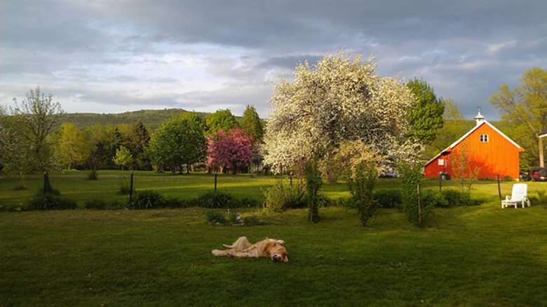 Bed & Breakfast G�te Terreciel