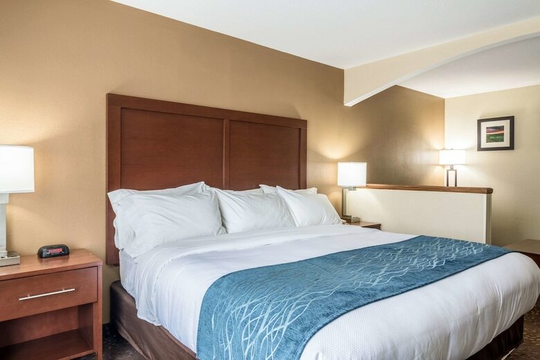 Hotel Comfort Inn & Suites - Hannibal