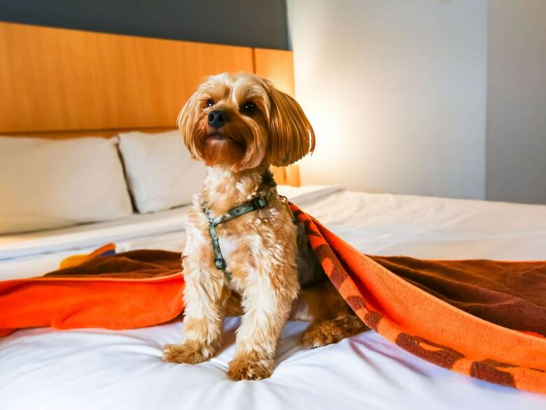 Hotel Ibis Rio de Janeiro Botafogo