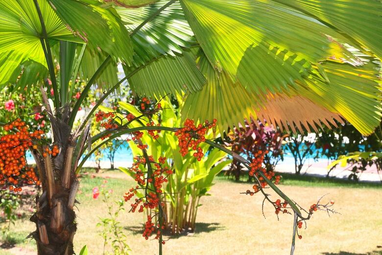 Aparthotel Village Mut�