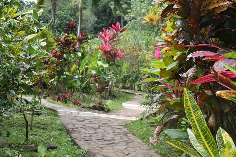 Hotel Hibiscus Valley Inn