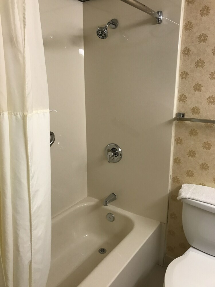 Hotel Quality Inn & Suites