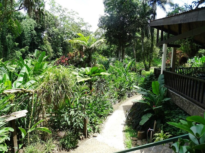 Bed & Breakfast Heliconia Island