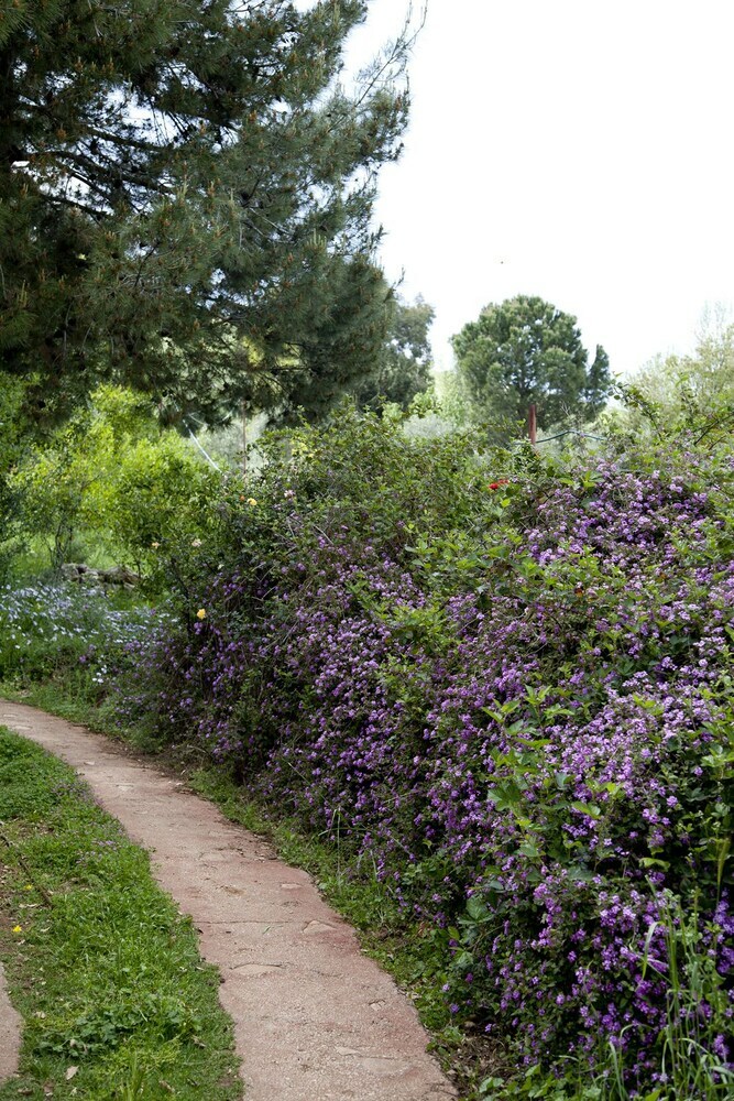 Hotel Mizpe Hayamim