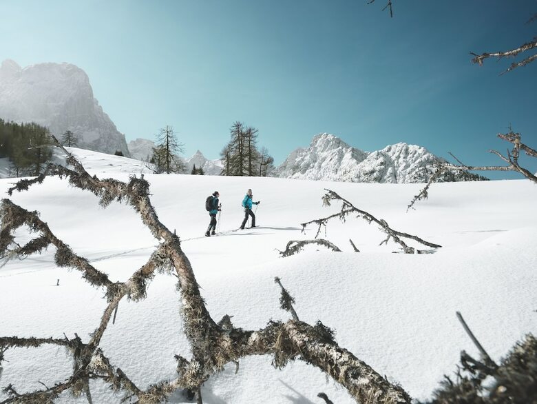 Apartamentos Alpinlodges Matrei