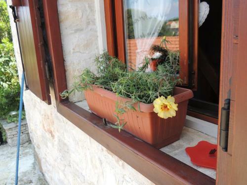 House Zrno