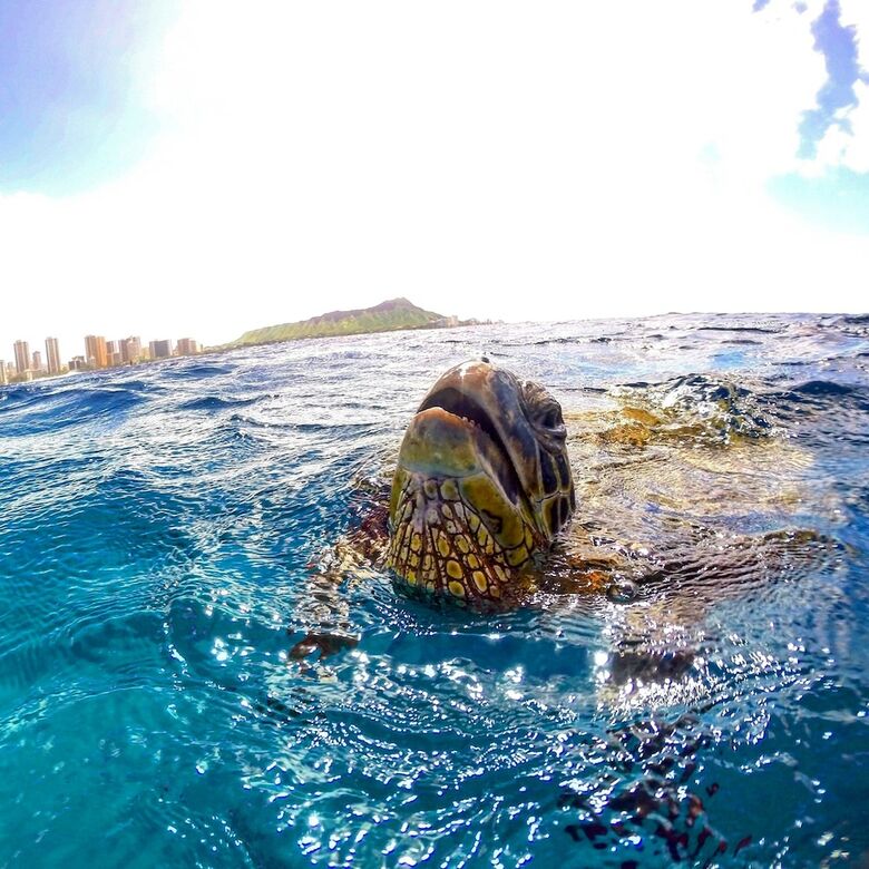 Apartamentos Tropical Studios At Marine Surf Waikiki