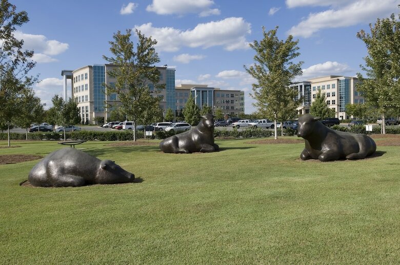 Hotel Staybridge Suites Charlotte Ballantyne