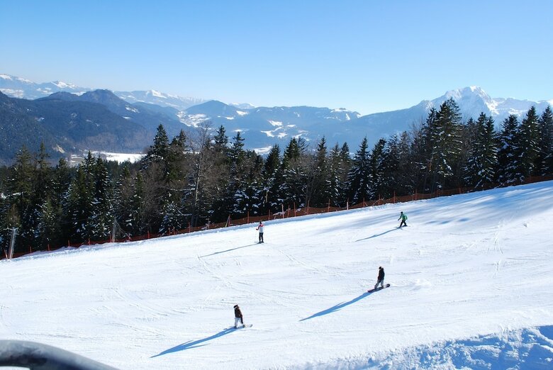 Posada Alpengasthof G�tschenalm
