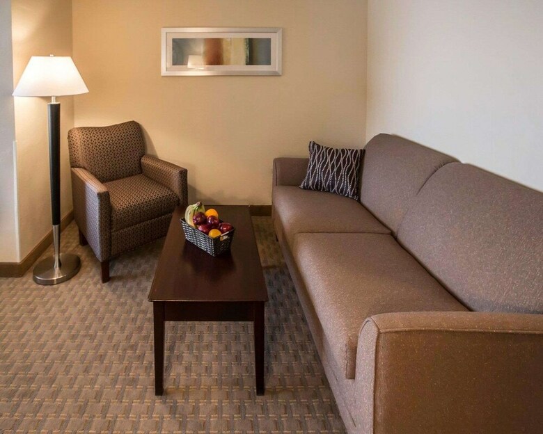 Hotel Comfort Suites University Area Notre Dame-south Bend
