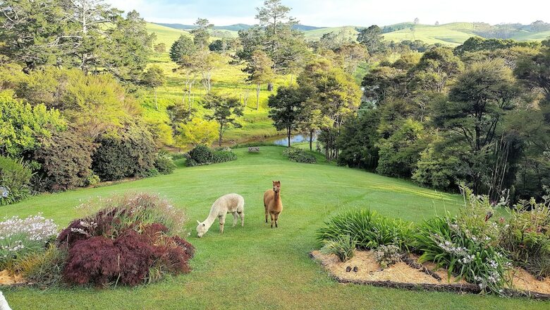Bed & Breakfast Morepork Riverside Lodge