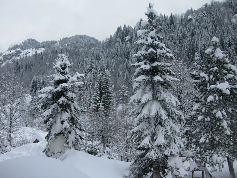 Hotel Albe