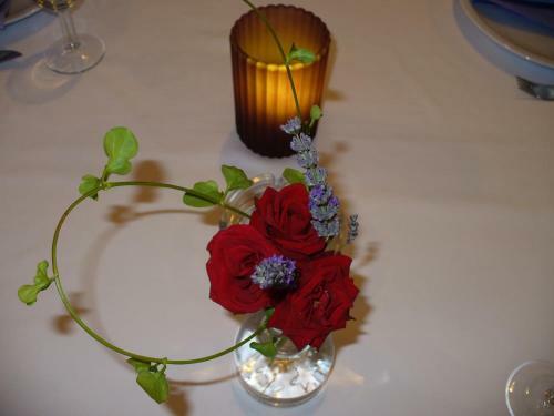 Bed & Breakfast Pansion Comfort Sidro