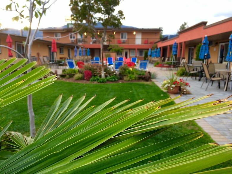 Motel Sahara Courtyard Inn