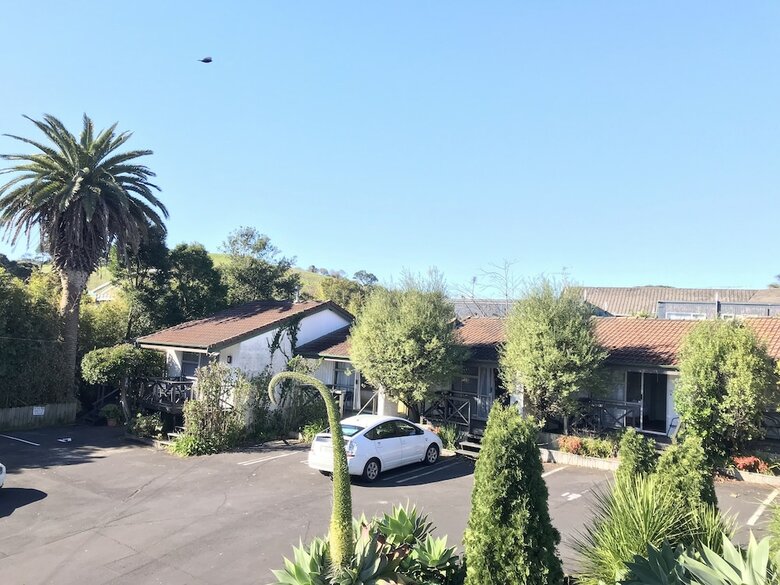 Siesta Motel