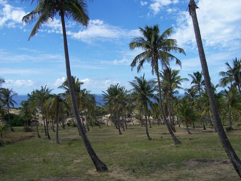 Posada Blue Moon Beach Holiday Resort