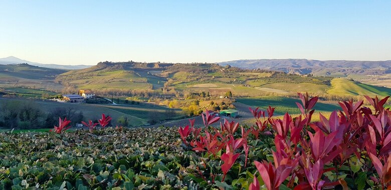 Agroturismo Altarocca Wine Resort