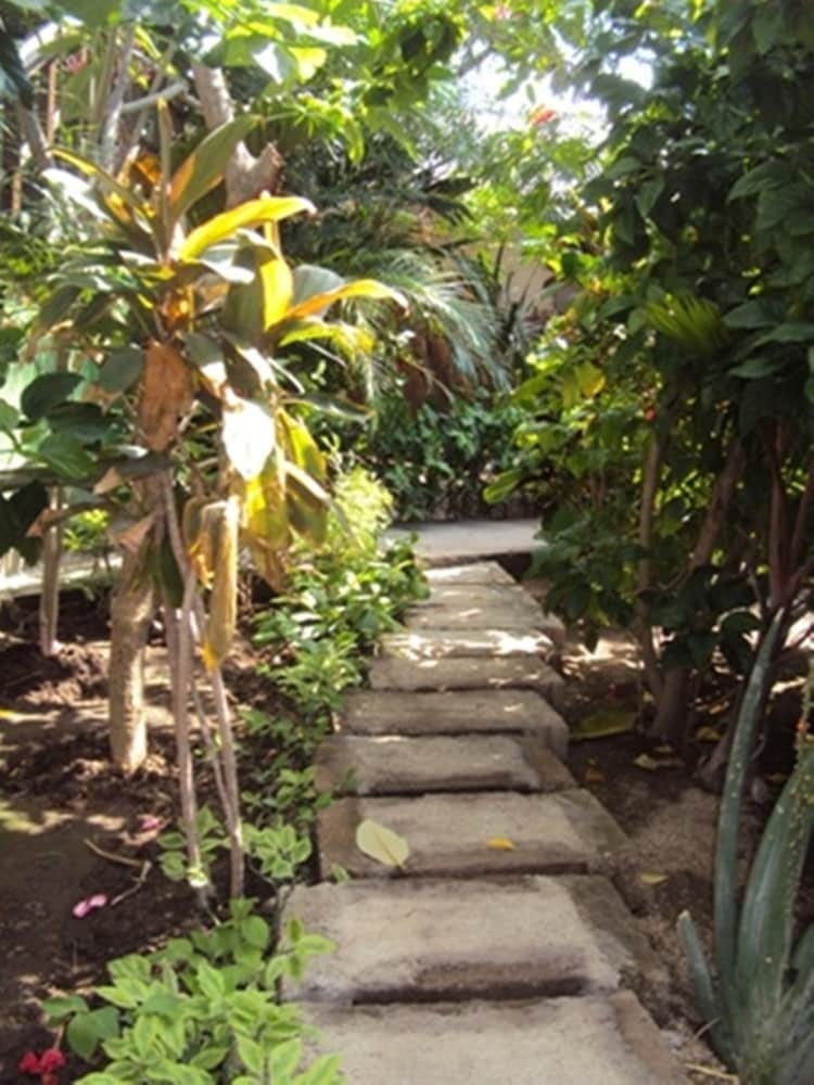 Bed & Breakfast Banana Leaf Bungalows