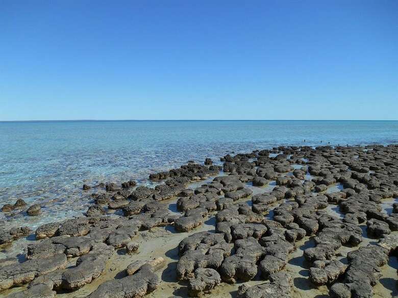 Hamelin Pool Caravan Park