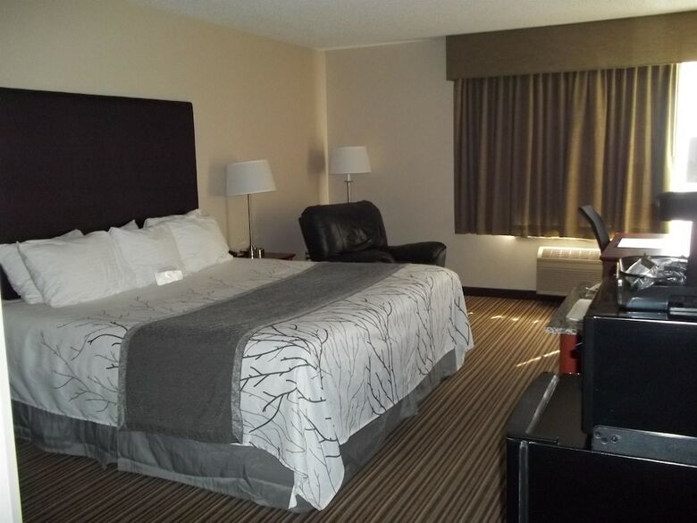 Hotel Best Western Park Oasis Inn