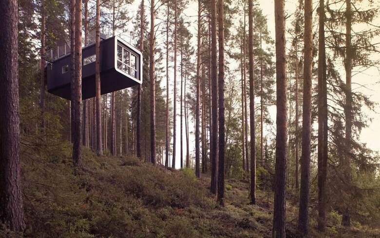 Cabana Tree Hotel