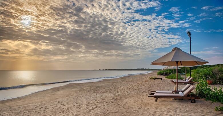 Apartamento Jungle Beach By Uga Escapes