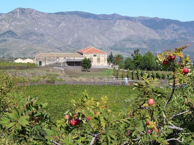 Agroturismo Etna Wine Agriturismo