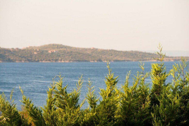 Hotel Alexandros Palace