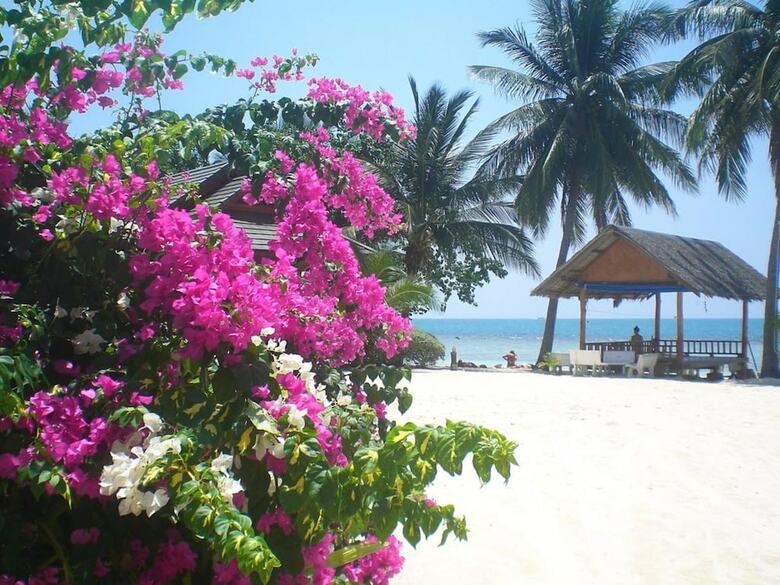 Apartamento Seaboard Bungalows