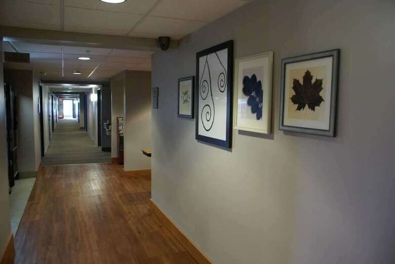 Hotel Country Inn & Suites By Radisson, Lansing, Mi