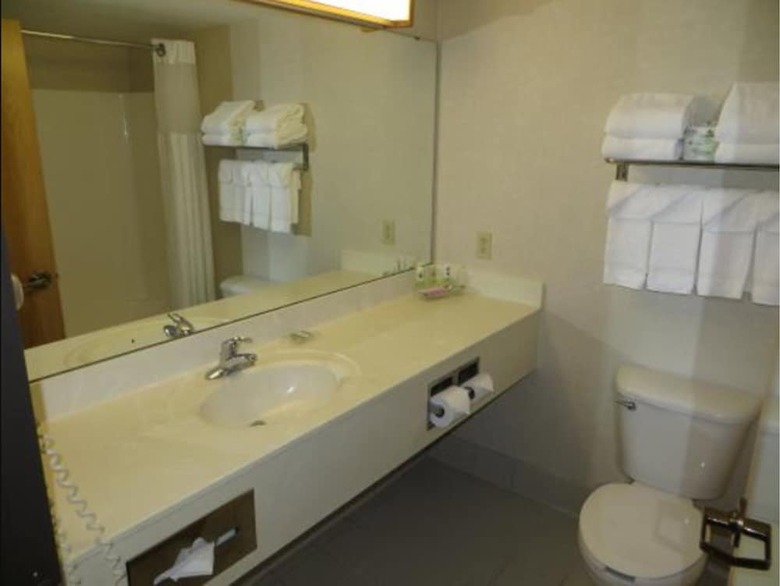 Hotel Country Inn & Suites By Radisson, Lansing, Mi