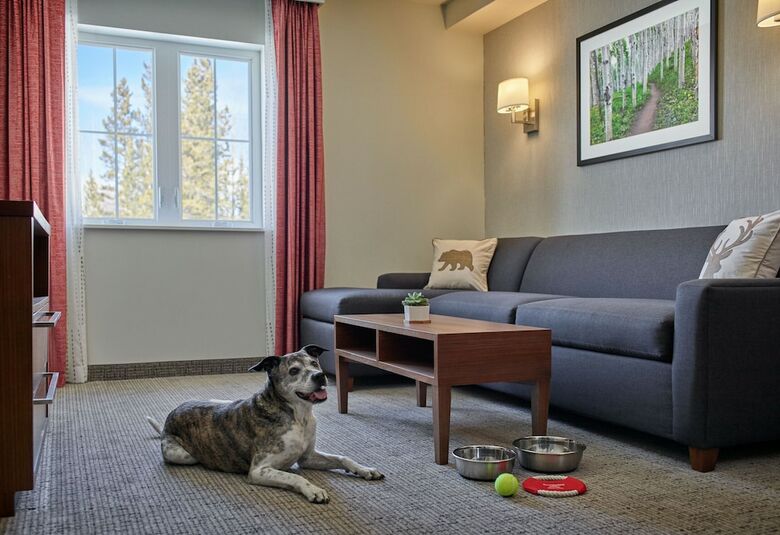 Hotel Residence Inn By Marriott Breckenridge