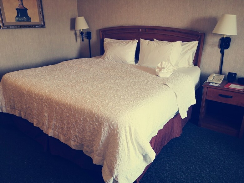 Hotel Hampton Inn By Hilton Saltillo Airport Area