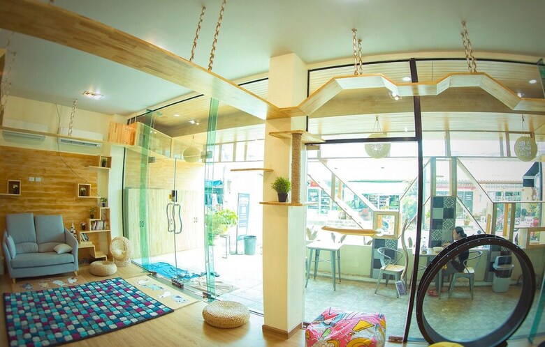 Cat Story Hotel