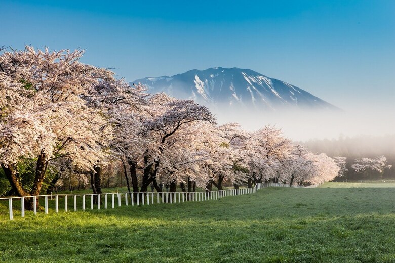 Hotel Kyukamura Iwate-amiharionsen