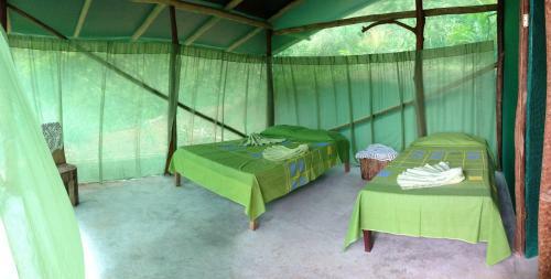 Isla Violin Eco-lodge